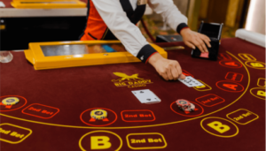 Matka 420 and Tara Matka: Understanding the Buzz Around Online Matka Platforms